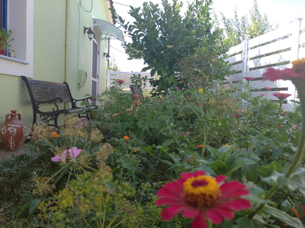 Granny'S Home Roussopoulio Dış mekan fotoğraf